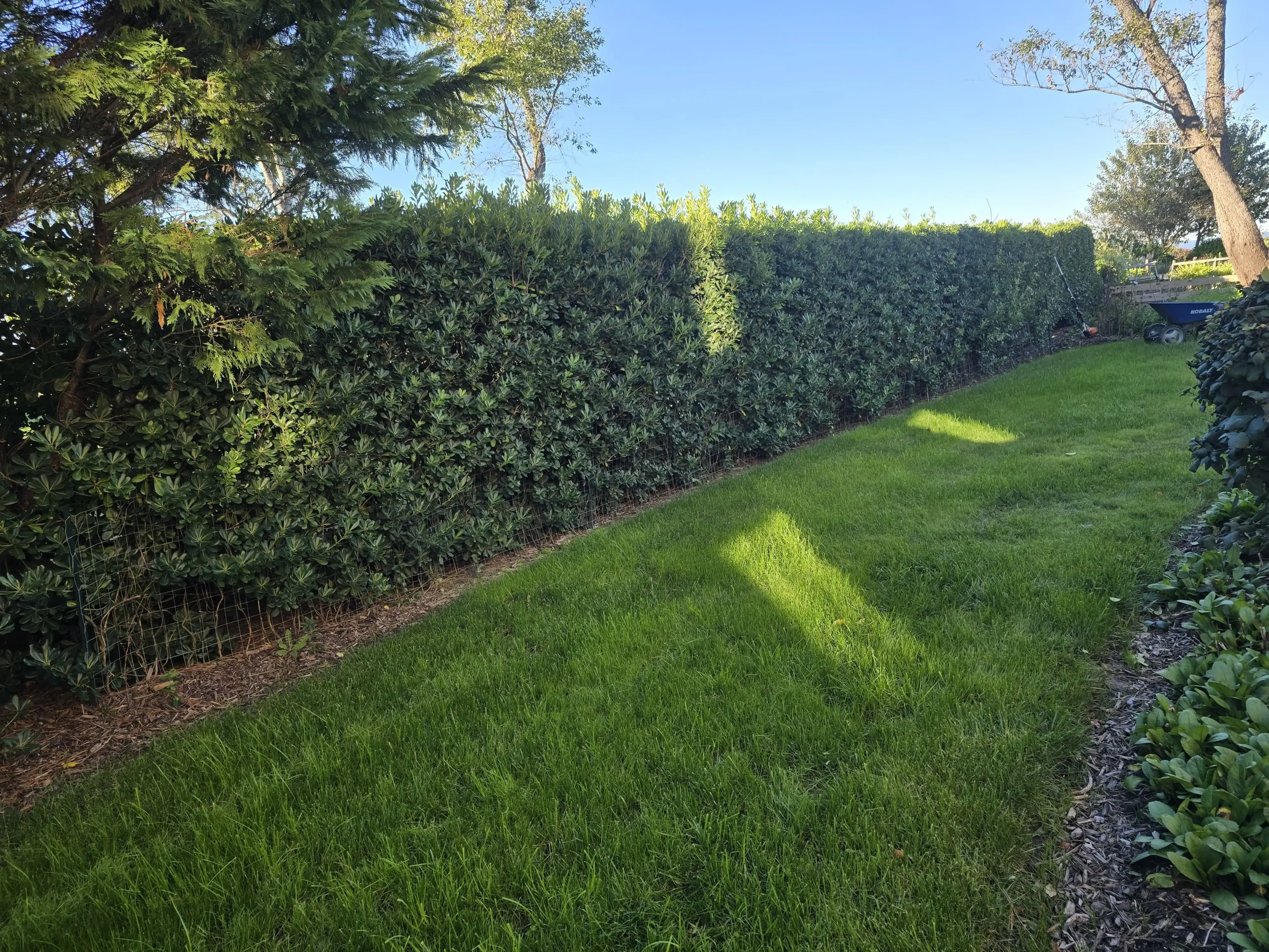 D. Martinez Lawn Care Services (25)