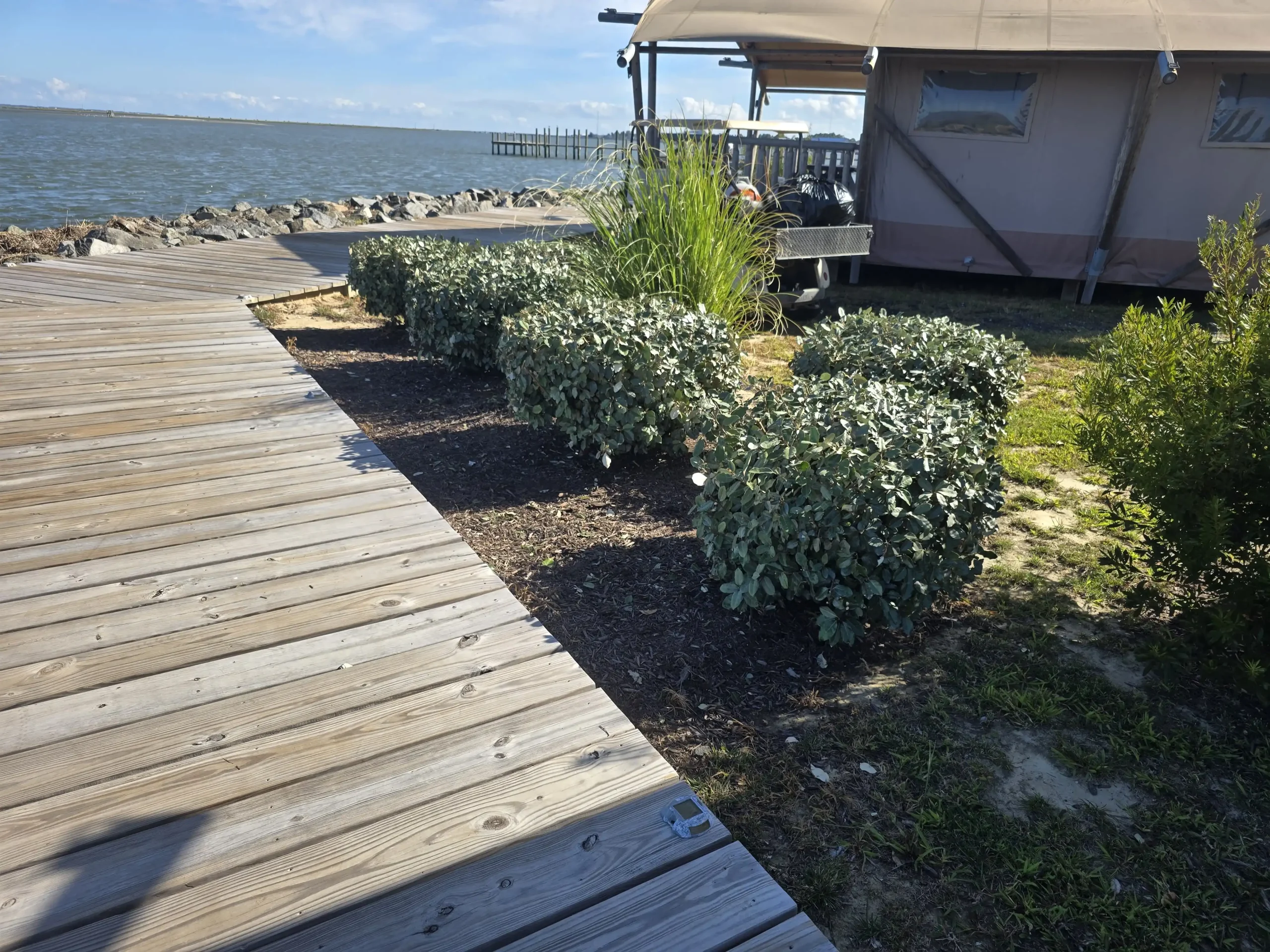 D. Martinez Lawn Care Services (40)