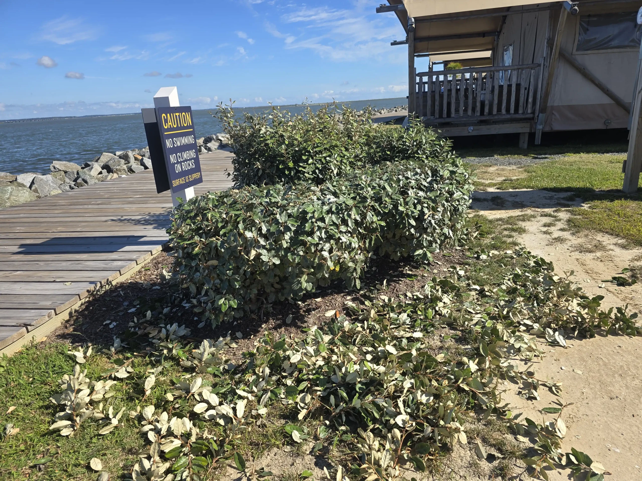 D. Martinez Lawn Care Services (41)